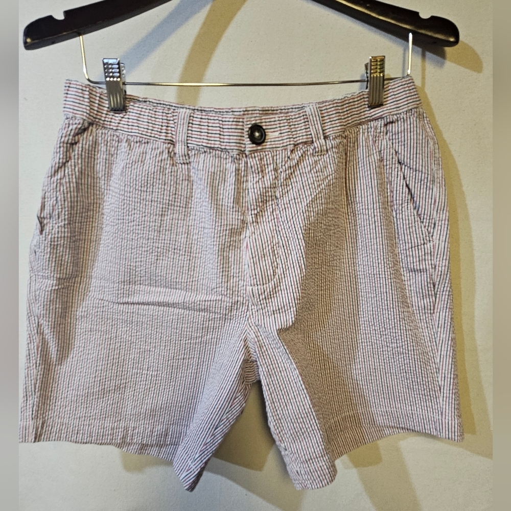 Chubbies Red White And Blue Men's Striped Shorts 7" Inseam